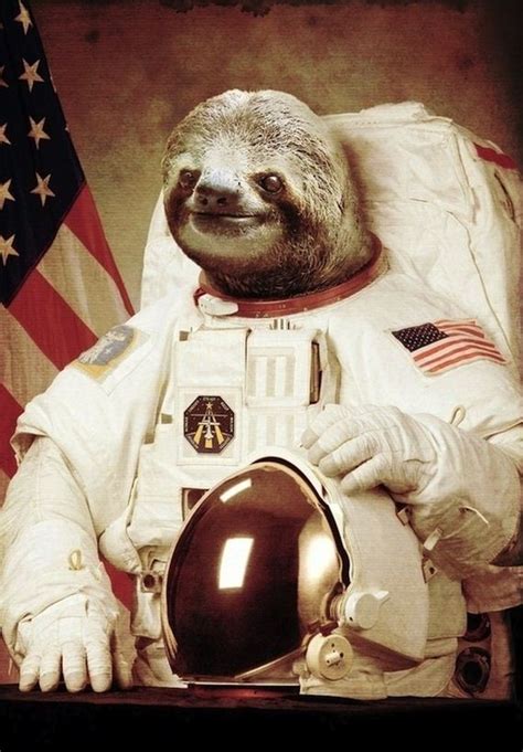 internet sloth